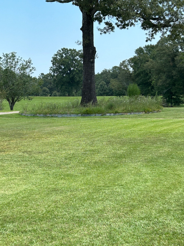 Richard's Lawn Care Services in Pineville, LA