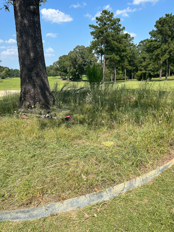 Alexandria, LA grass cutting services.