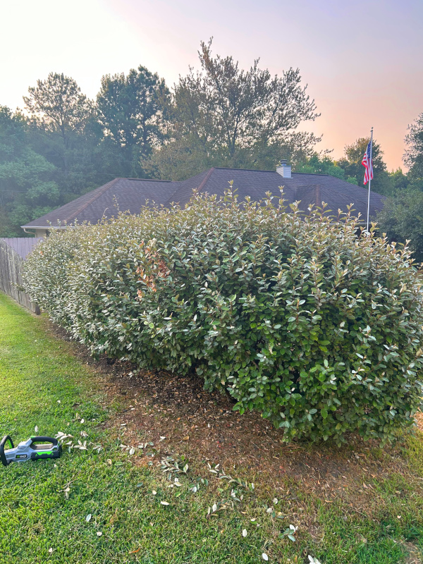 Alexandria, LA outdoor landscaping services.