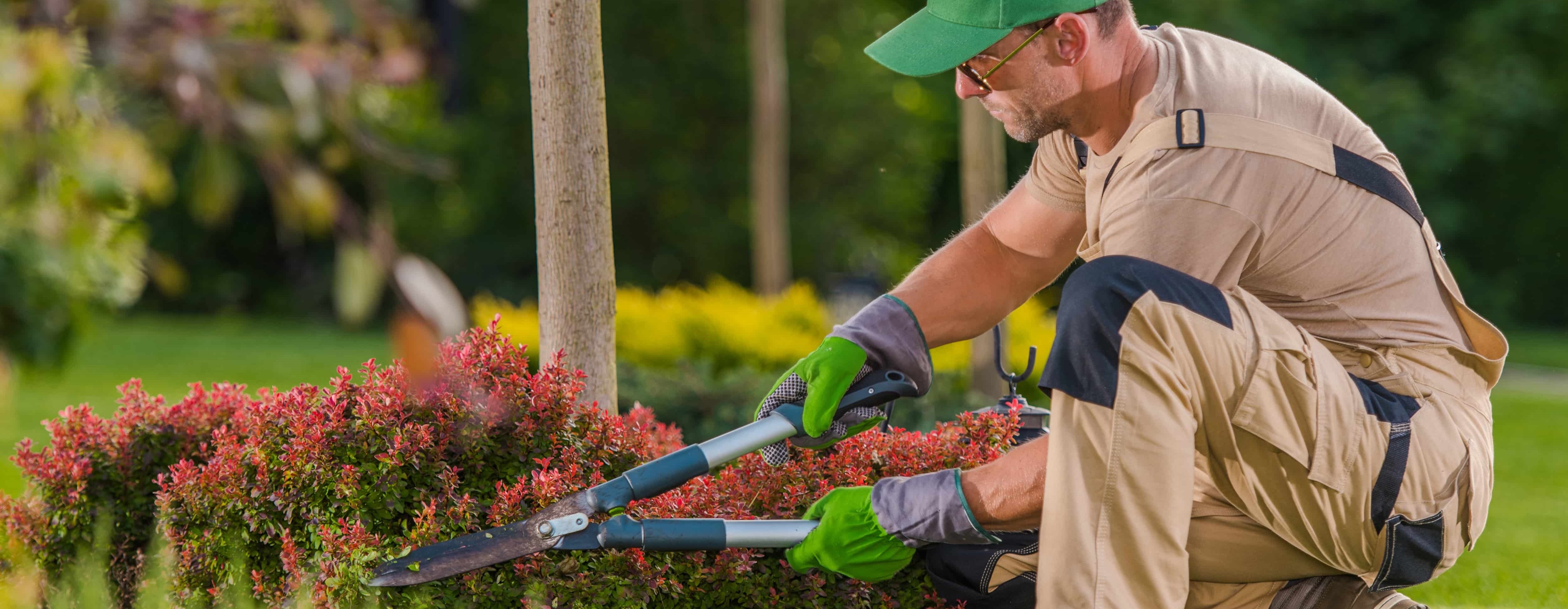 gardener-cutting-grass