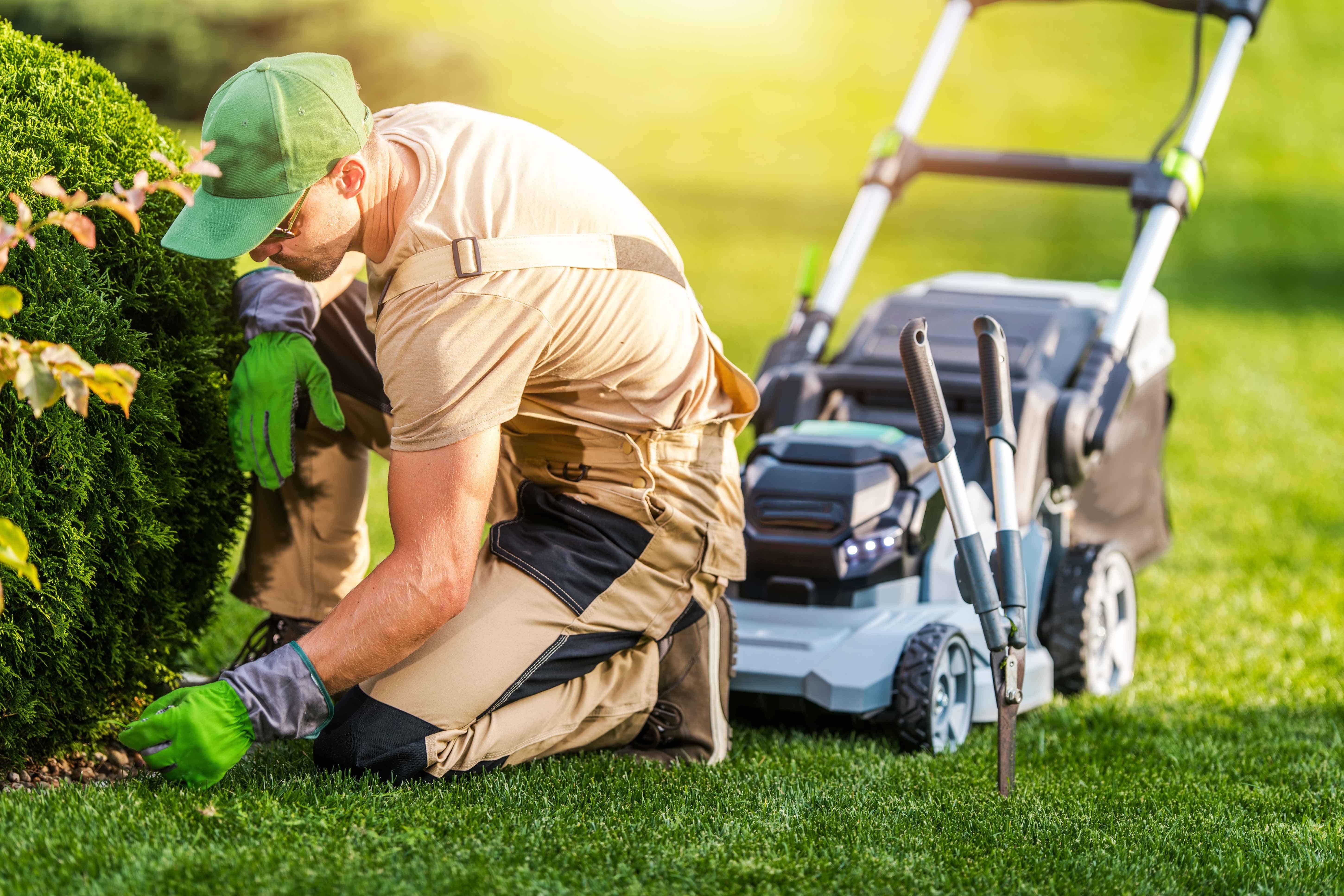 Lawn Mowing