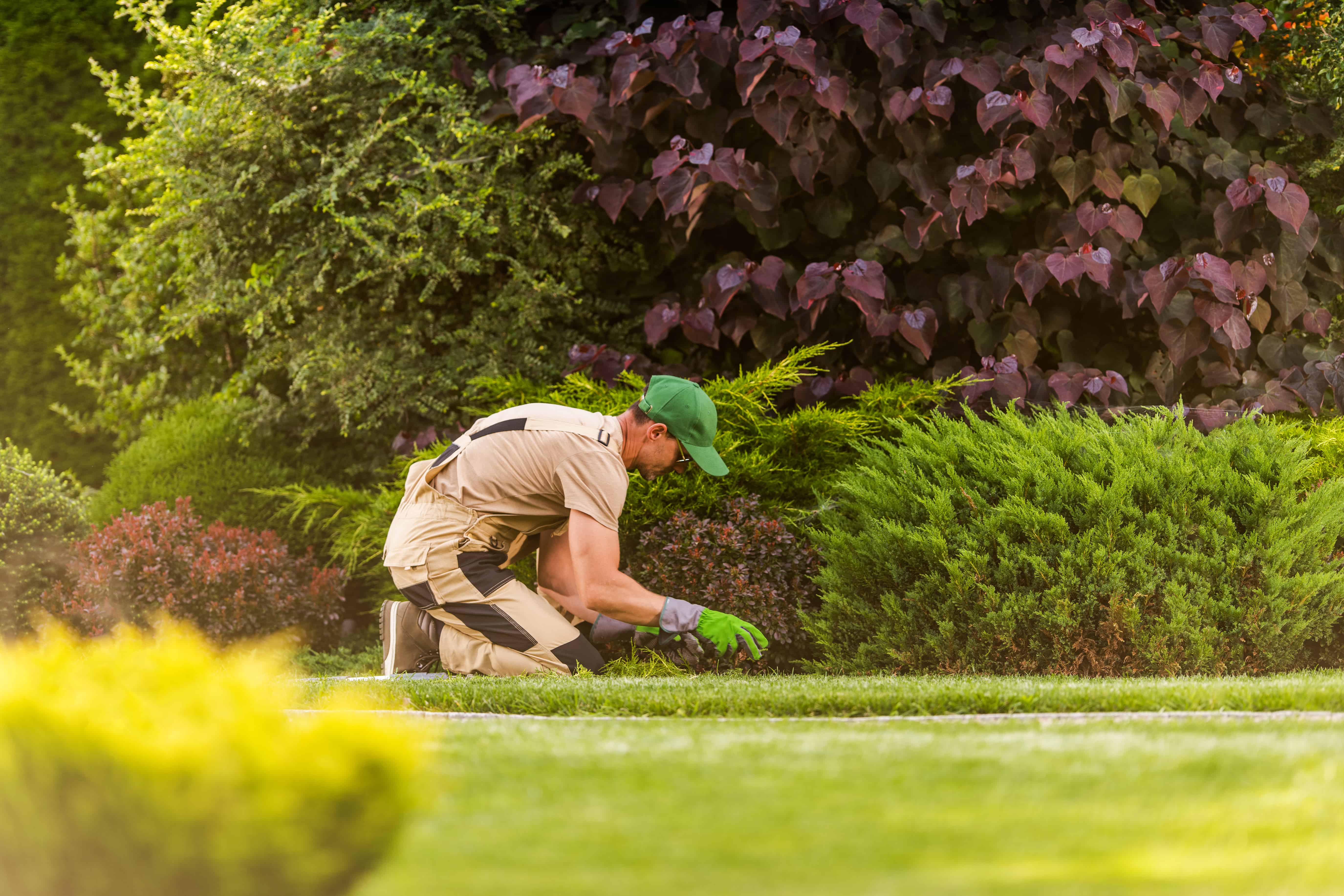 gardener-mowing-grass