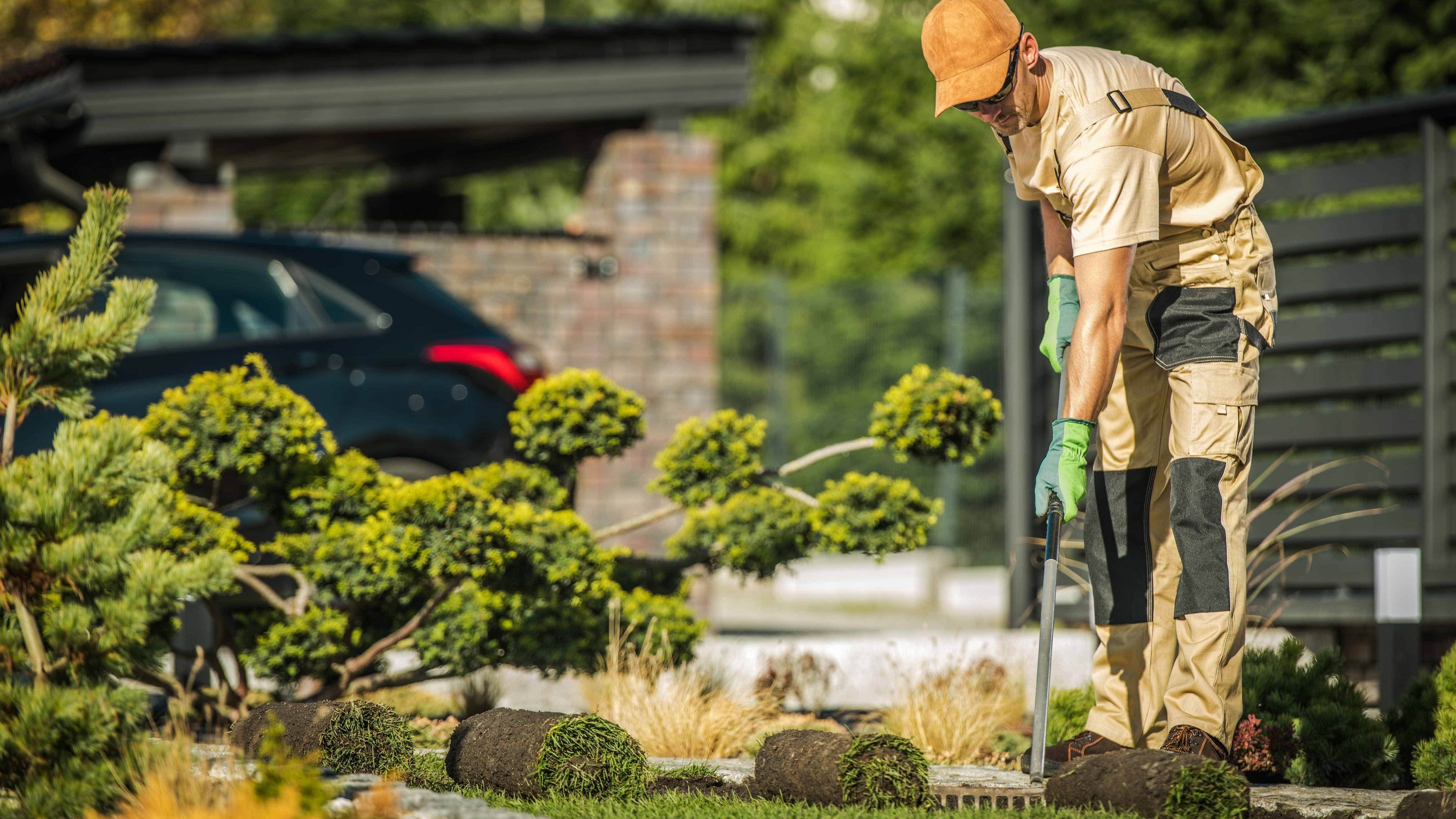 Lawn Mowing