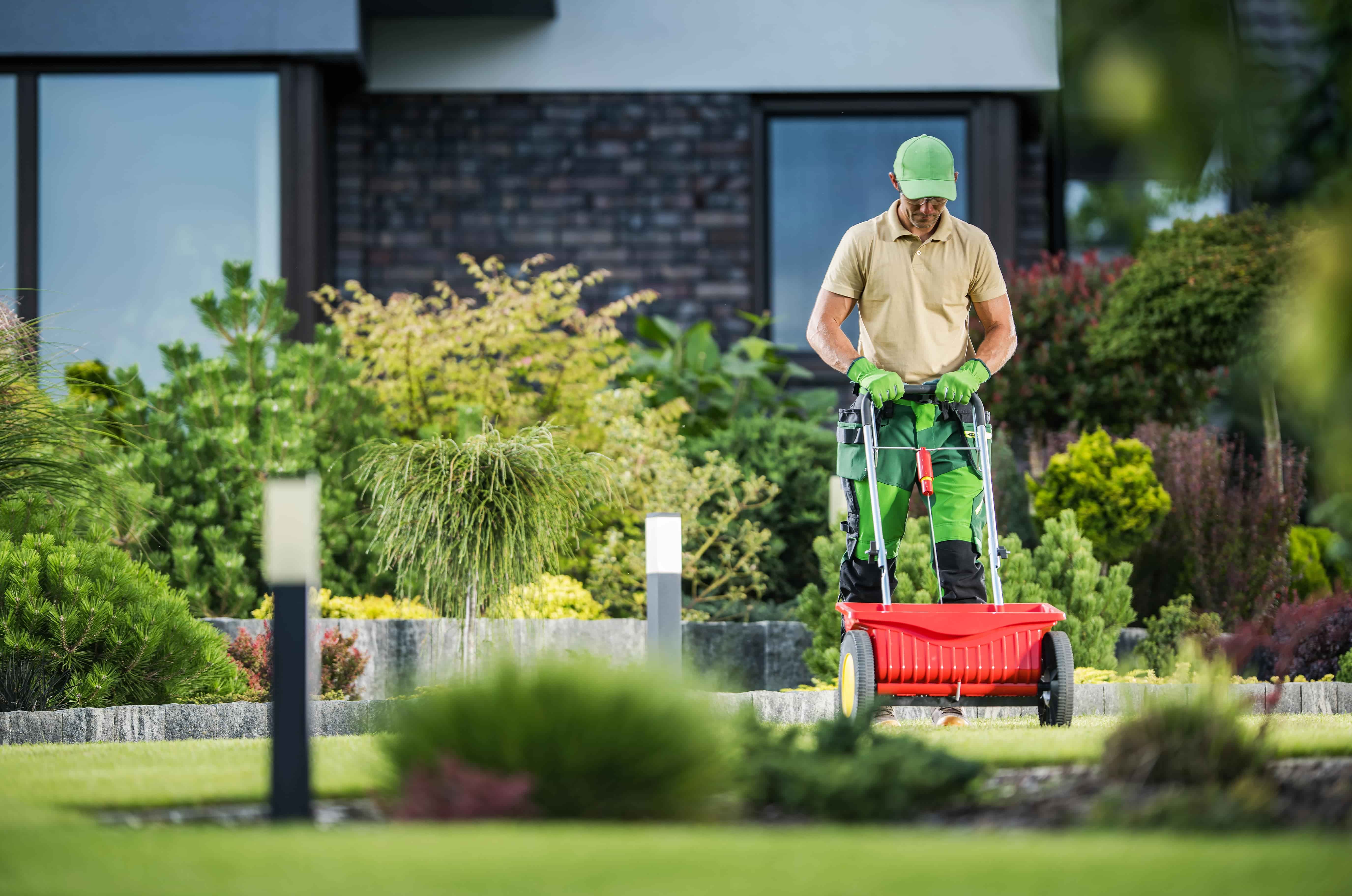 Lawn Mowing